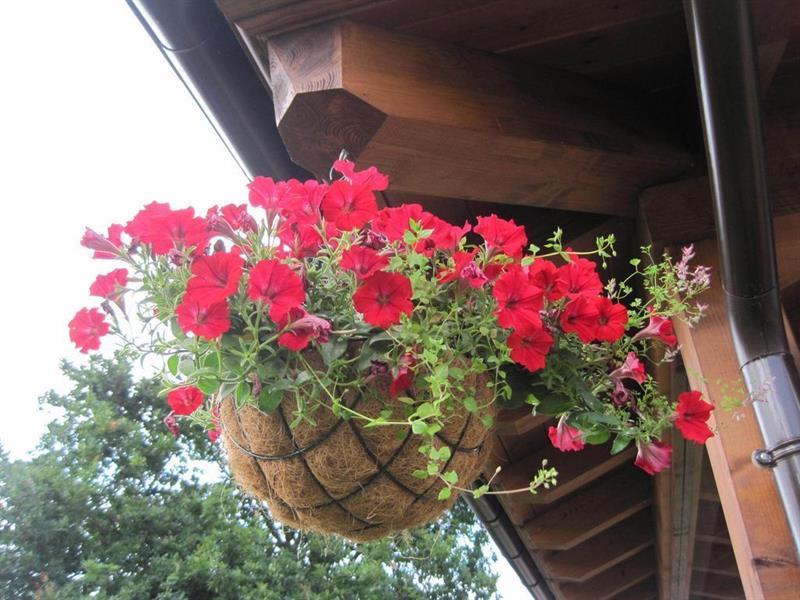 Pension San Jorge นูเอวา เด ยาเนส ภายนอก รูปภาพ